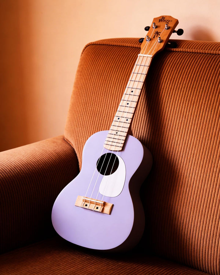 Winzz Ukulele Kinder Konzert, Ukulele Erwachsene Anfänger Set, 23 Zoll, mit 9 Zubehör, Kleine Einste
