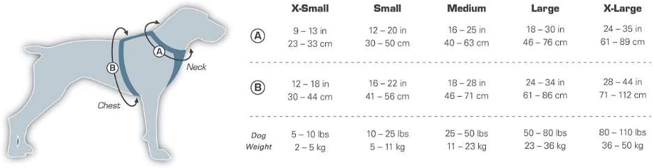 Kurgo Tru-Fit Smart Hundegeschirr, Mit gepolstertem Brustteil und D-Ring, Inklusive Autosicherheitsg