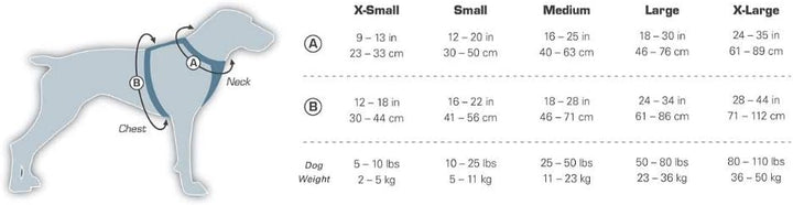 Kurgo Tru-Fit Smart Hundegeschirr, Mit gepolstertem Brustteil und D-Ring, Inklusive Autosicherheitsg