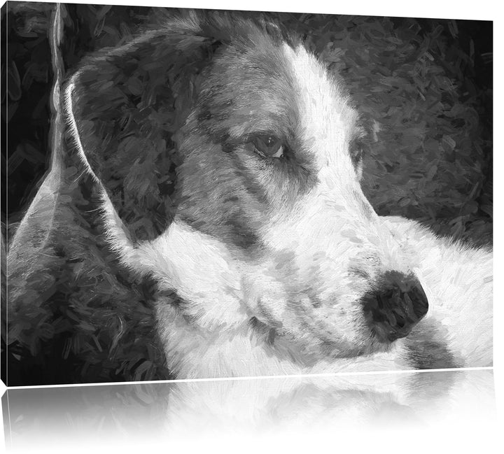 Jack Russel Terrier ruht sich aus Deluxe Format: 100x70 cm auf Leinwand, XXL riesige Bilder fertig g