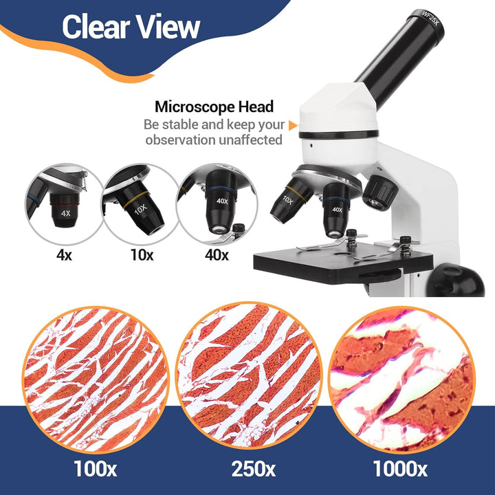 Mikroskop für Kinder Erwachsene 100X-1000X mit Objektträger Set, Dual-LED-Beleuchtung,Professionelle