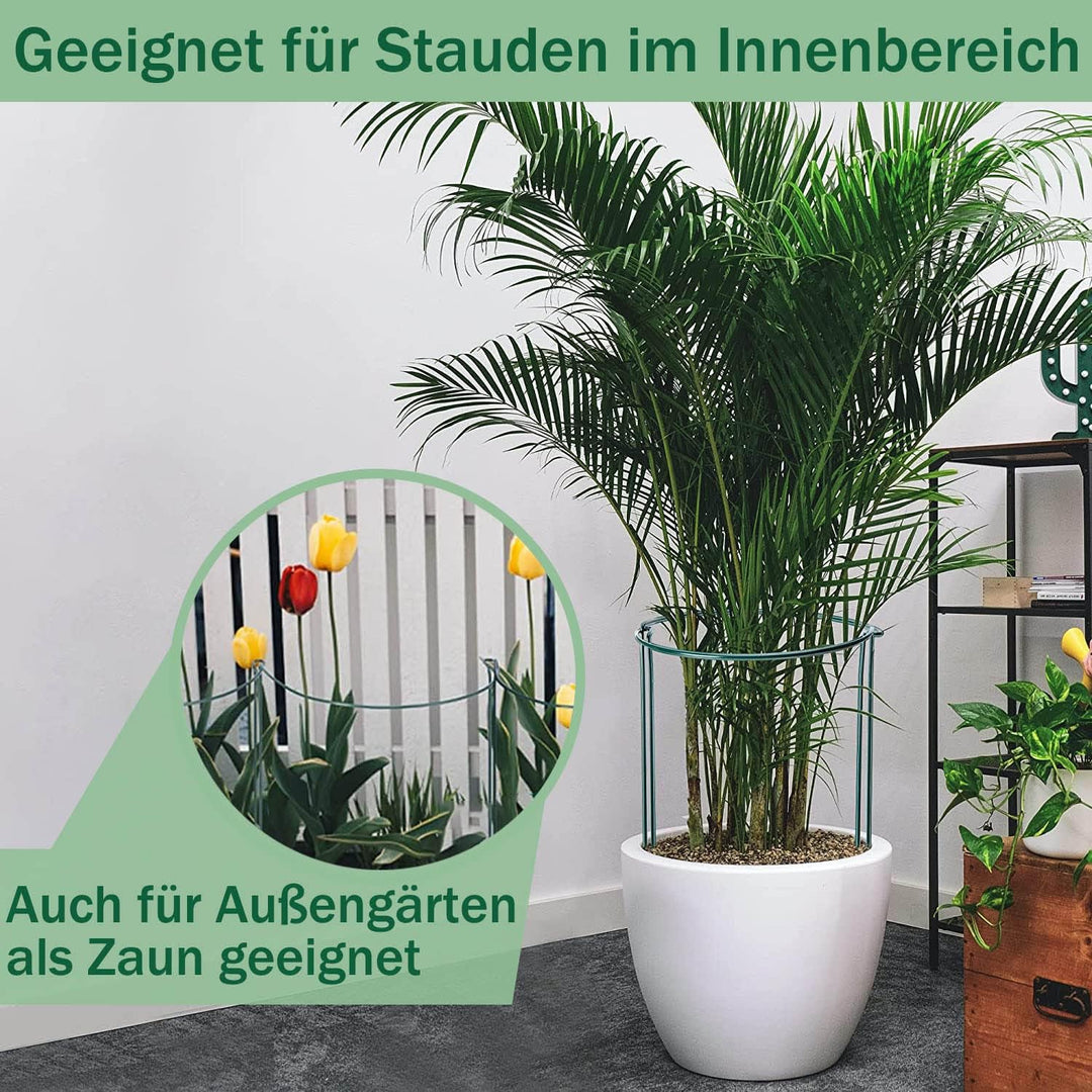 8 Stück pflanzenstütze, ASSUGO staudenhalter rund aus beschichtetem Stahl, Metall Garden Halbrund St