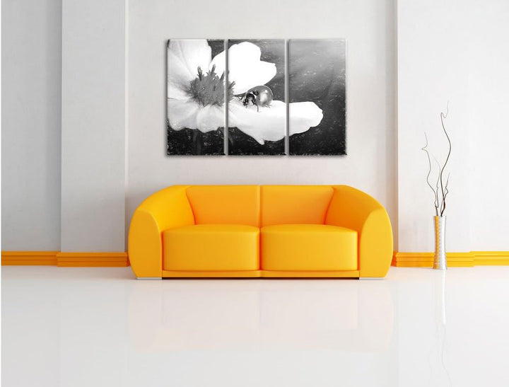 Pixxprint Marienkäfer auf Einer Blume / 3-Teilig/Gesamtmass 120cm Leinwandbild bespannt auf Holzrahm