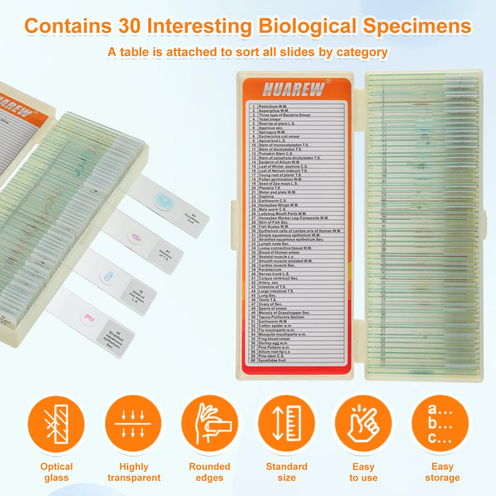 HUAREW 60 Pcs Mikroskop Objektträger mit Biologischen Proben, Pflanzen Insekten Menschliche Zelle fü