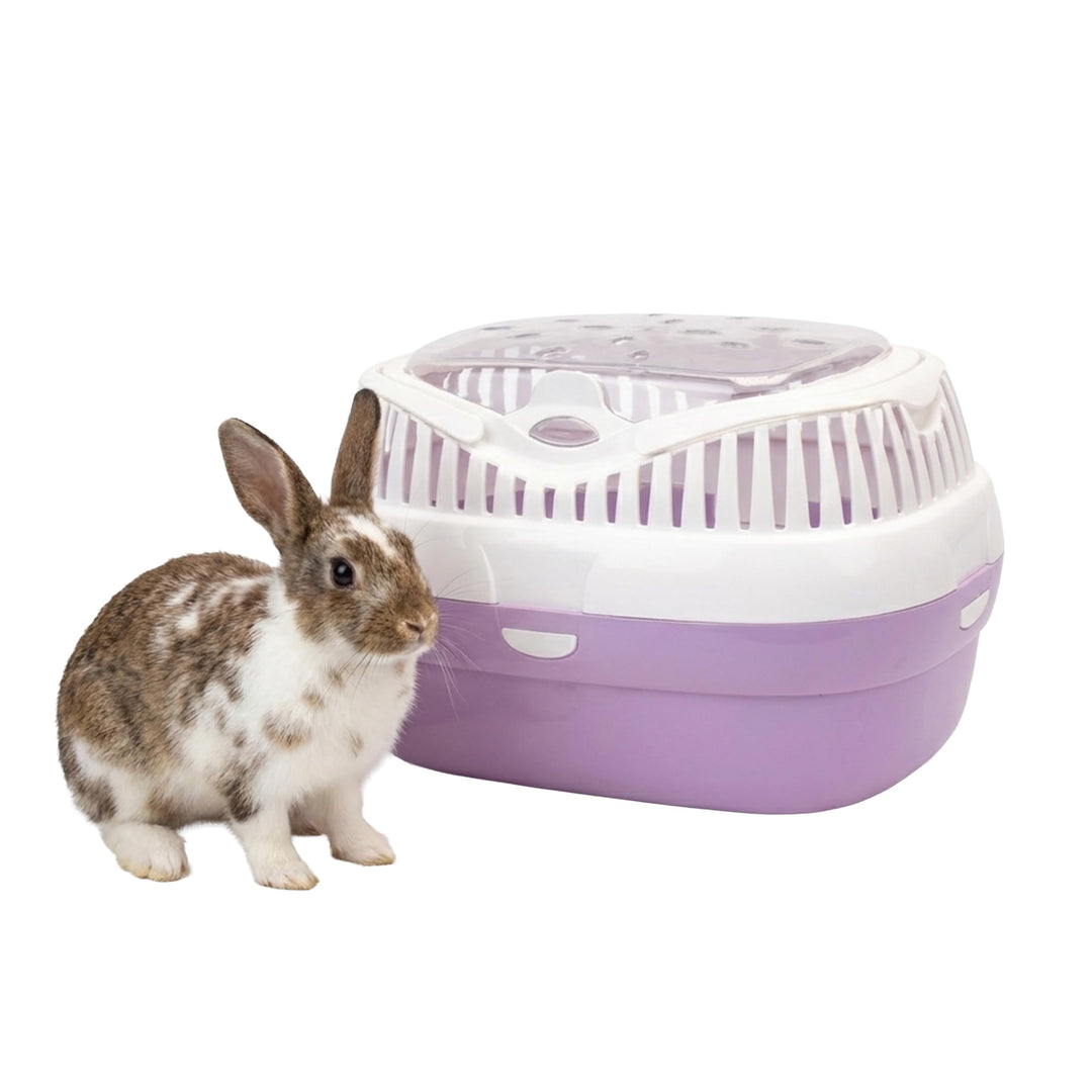 Ferplast Transportbox für Hamster und andere kleine Nagetiere Aladino Large Reisekäfig für Hamster,