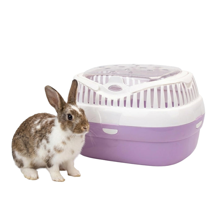 Ferplast Transportbox für Hamster und andere kleine Nagetiere Aladino Large Reisekäfig für Hamster,