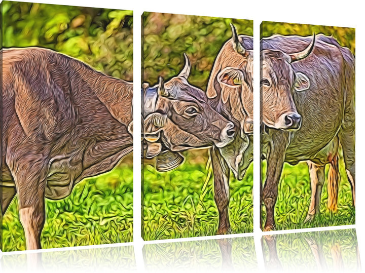 Kuhbullen auf Weide Spezial 3-Teiler Leinwandbild 120x80 Bild auf Leinwand, XXL riesige Bilder ferti