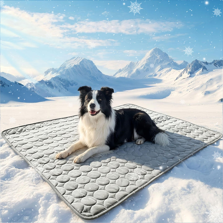 Generisch kühlmatte Hund, Hundekühlmatte, 150x100cm Bett Kühldecke | Atmungsaktiv, Kratzfest, Waschb