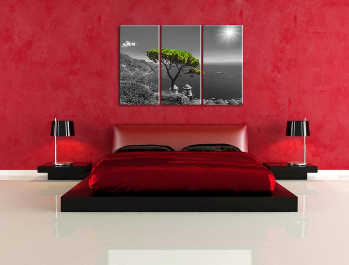 Pixxprint Baum am Mittelmeer als Leinwandbild | Grösse: 3 Teilig (120x80) | Wandbild| Kunstdruck | f