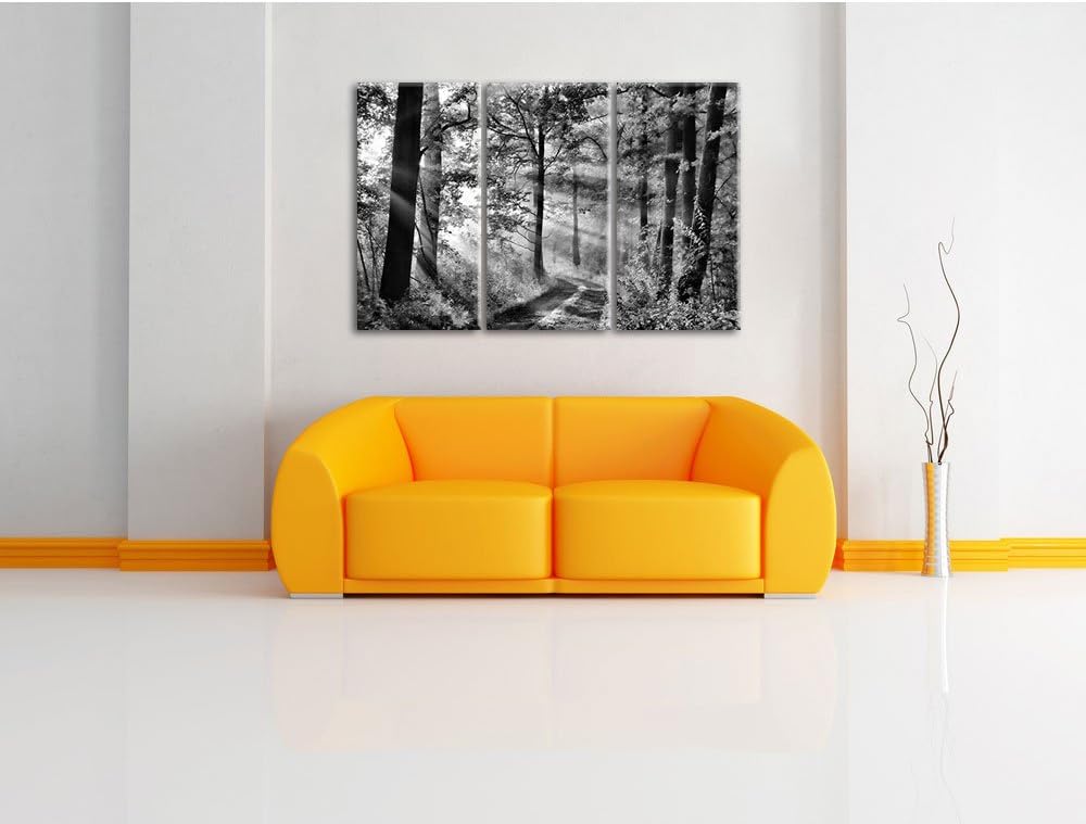 Pixxprint Monocrome, Waldweg im Winter 3-Teiler Leinwandbild 120x80 Bild auf Leinwand