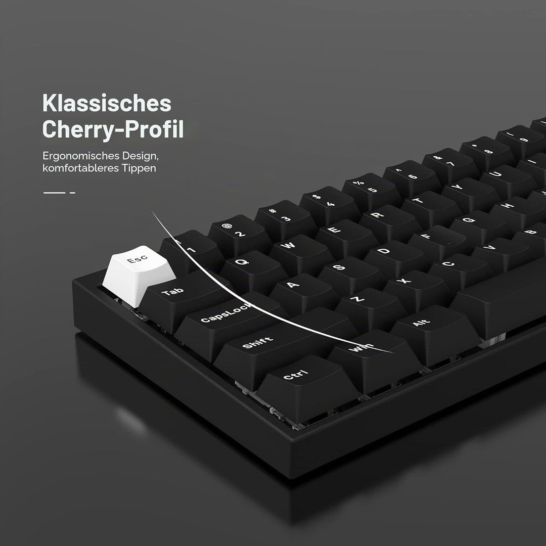 WOB Keycaps 168 Tasten, Double Shot PBT Custom Keycap Set, Minimalistischer Stil Weiss auf Schwarz C