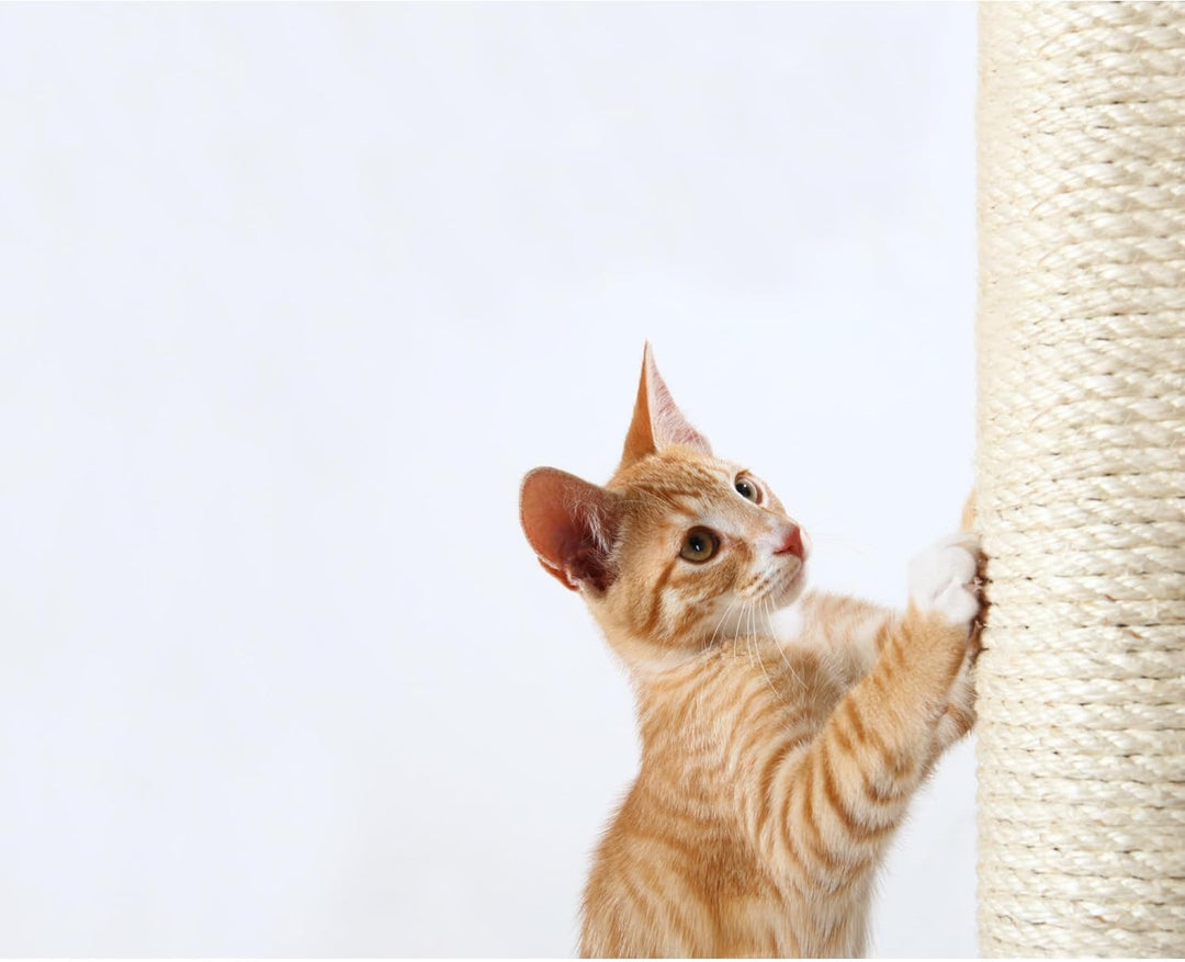 Trixie 43990 Ersatzstamm, Sisal, ø 9 × 30 cm, Natur (Packung mit 3) 9 × 30 cm (Packung mit 3), 9 &#x