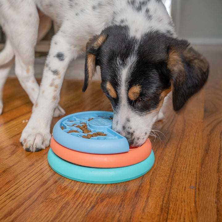 Outward Hound Nina Ottosson by Puppy Lickin' Layers Interaktives Hundepuzzle Langsamfresser für Welp