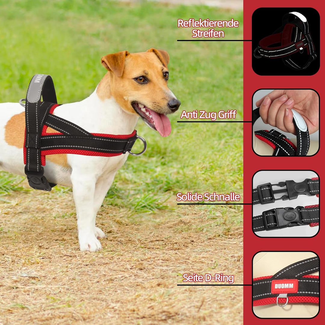 Hundegeschirr mit Leine für Mittelgrosse Kleine Hunde Welpen, Bunt Farbblock Geschirr, Mesh Gepolste