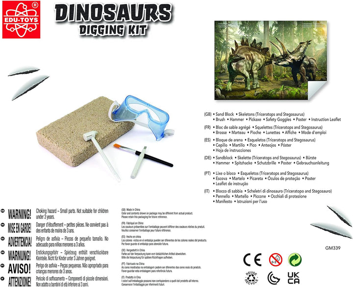 Grosses 2in1 Dinosaurier Ausgrabungsset mit Werkzeug Triceraptops und Stegosaurus in schwerem Sandbl