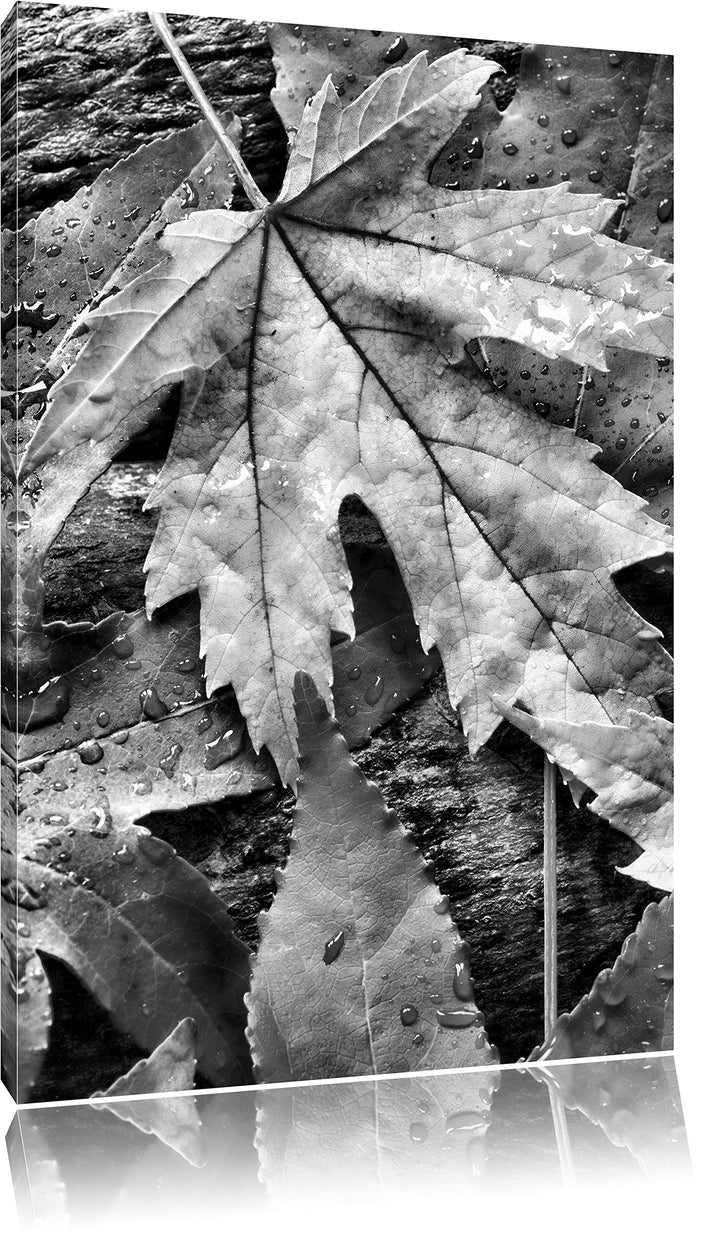 Pixxprint Monocrome, Bunte Herbstblätter, Format: 100x70 auf Leinwand, 100x70