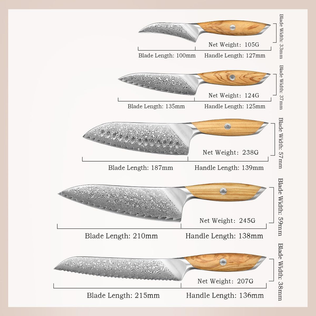 HEZHEN Damast Küchenmesser Set 5-Teilig, Professionelles Damaszener Stahl Kochmesser Set Santoku Mes