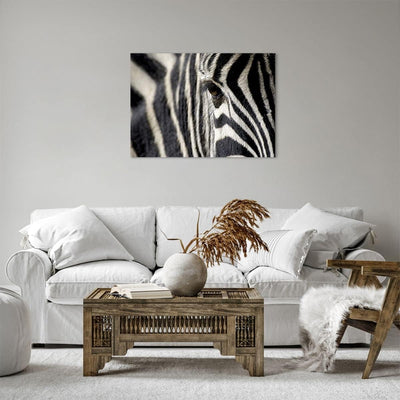 Bilder auf Leinwand Zebra Streifen Tierwelt Safari Leinwandbild 70x50cm Wandbilder Dekoration Wohnzi