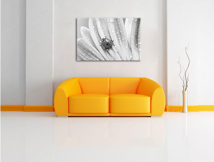 Pixxprint Marienkäfer auf gelber Blume / 100x70cm Leinwandbild bespannt auf Holzrahmen/Wandbild Kuns
