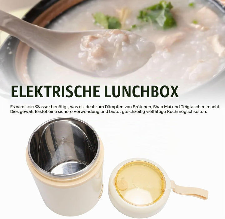 Elektrische Lunchbox 600 Ml, USB -tragbarer Lebensmittelwärmer mit 60 ° C Konstanter Temperatur, 304