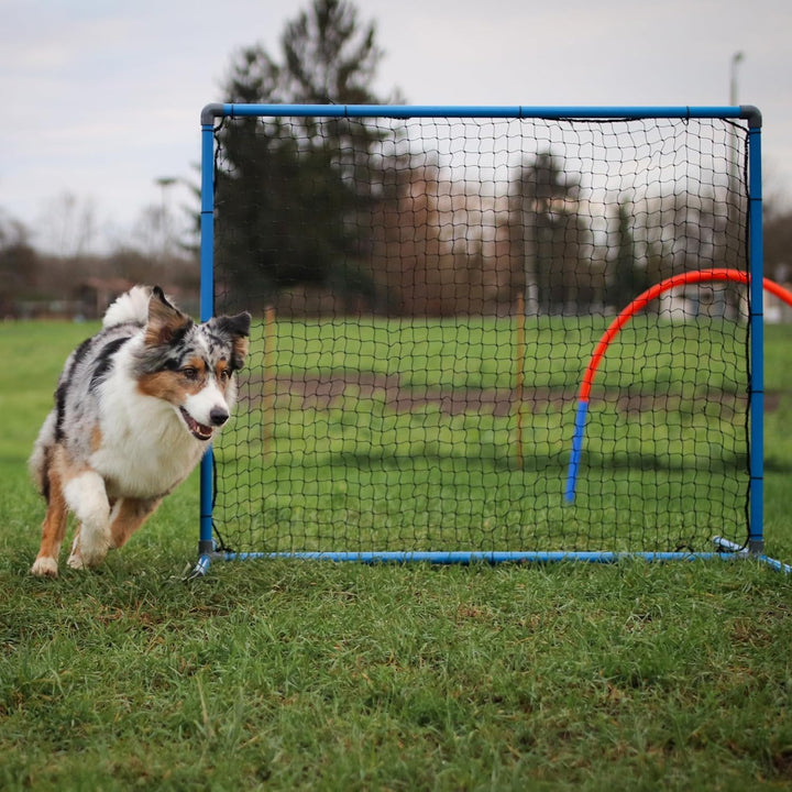 Lemodo Hoopers Agility Fence, Zaun für Hundesport, Trennzaun mit Tragetasche, Hundetraining