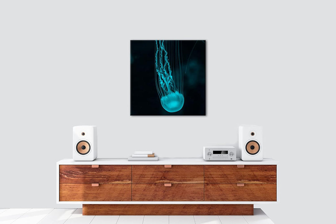 deyoli die langen Tentakel einer Qualle Format: 60x60 als Leinwandbild, Motiv fertig gerahmt auf Ech