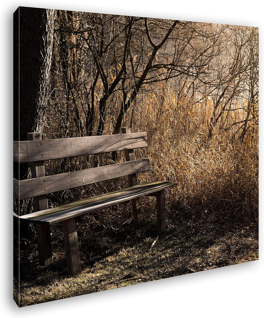 deyoli einsame Bank im Wald Format: 70x70 als Leinwandbild, Motiv fertig gerahmt auf Echtholzrahmen,