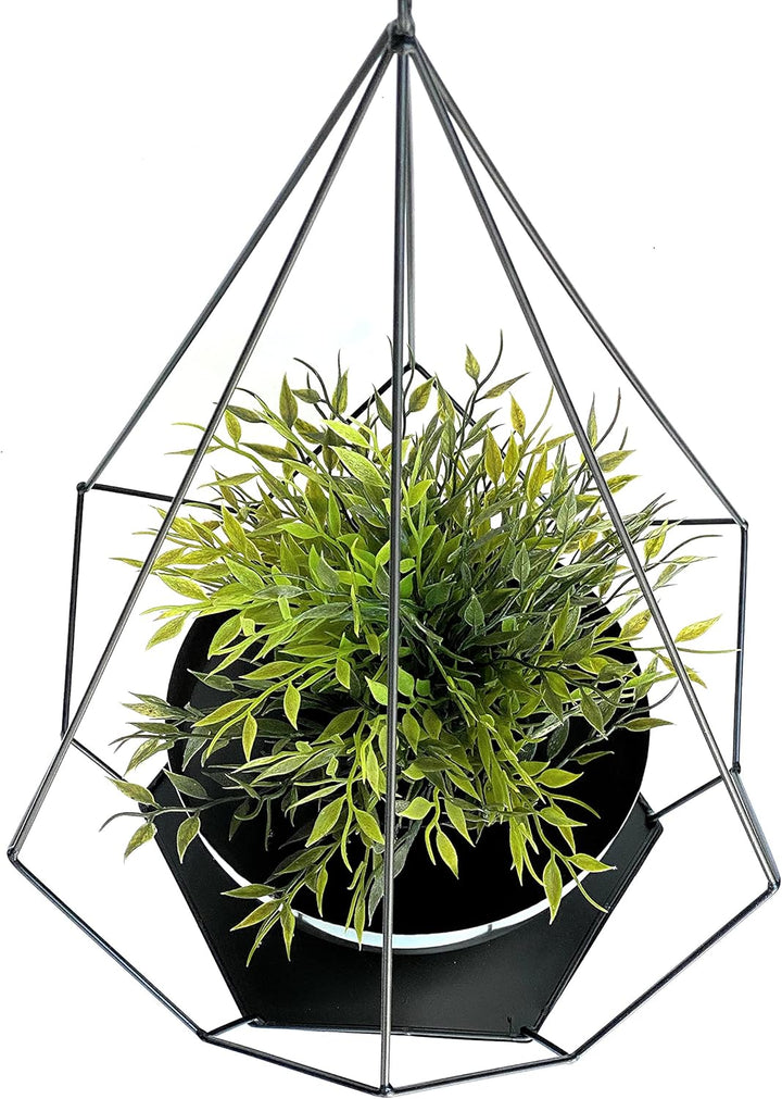 DanDiBo Blumenampel Innen Metall Wand Hängepflanzen 96095 2er Set mit Topf 6 Ecken Pflanzenhänger Bl