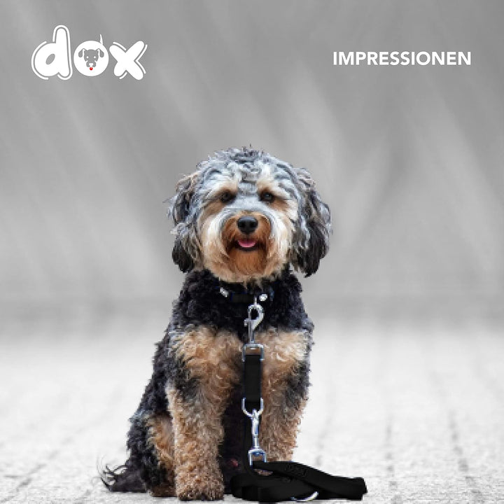 DDOXX Reflektierende Nylon Hundeleine - 2m, 3fach verstellbare Hundeleine für alle Hundegrössen - M