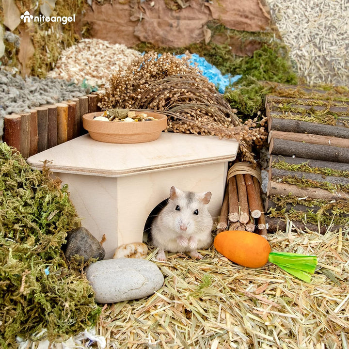 Niteangel Birke Chamber-Maze Hamster Hideout – Kleine Haustiere Wald Haus Lebensräume Dekor für Hams