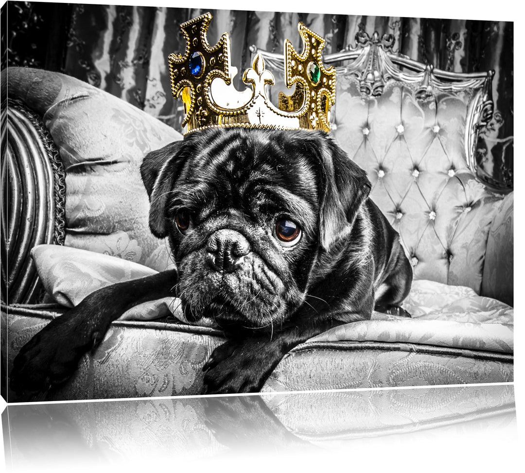 Mops mit Krone auf Thron schwarz/weiss Format: 100x70 auf Leinwand, XXL riesige Bilder fertig gerahm