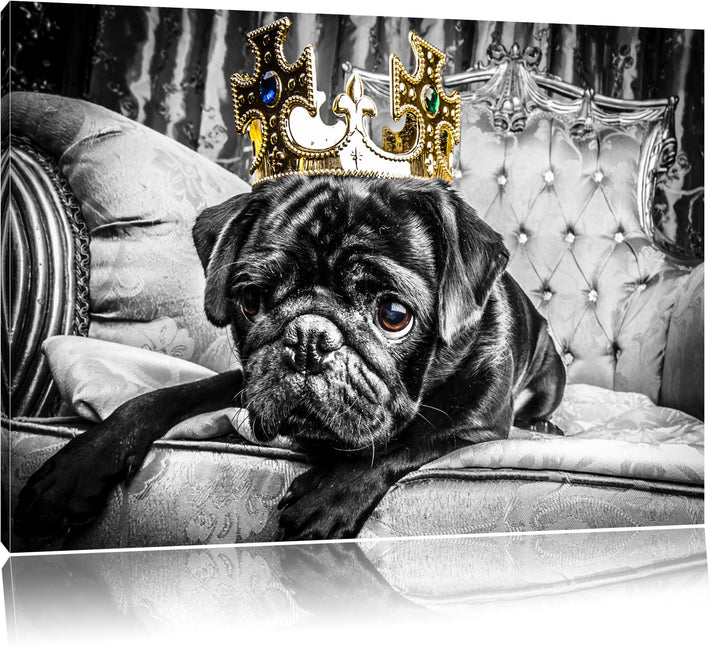 Mops mit Krone auf Thron schwarz/weiss Format: 100x70 auf Leinwand, XXL riesige Bilder fertig gerahm