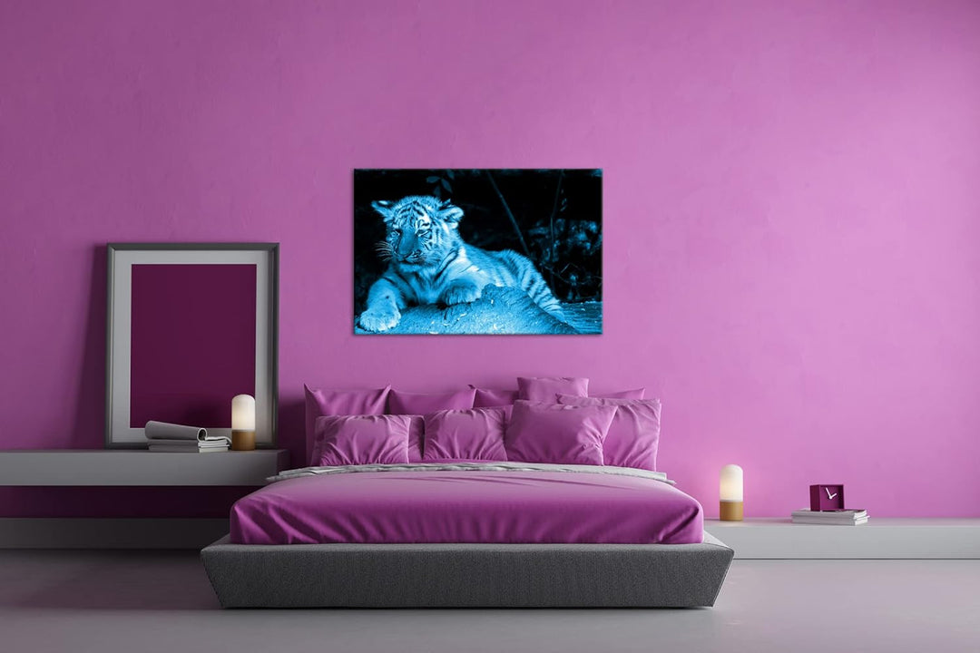 deyoli kleiner verschlafener Tiger Format 80x60 Effekt: Monocrome Blau als Leinwandbild, Motiv ferti