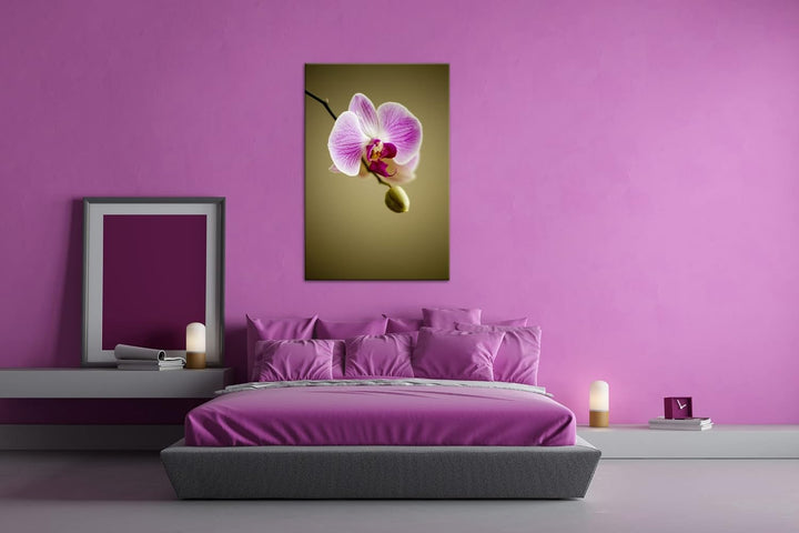 deyoli zauberhafte Orchidee Format: 100x70 als Leinwandbild, Motiv fertig gerahmt auf Echtholzrahmen
