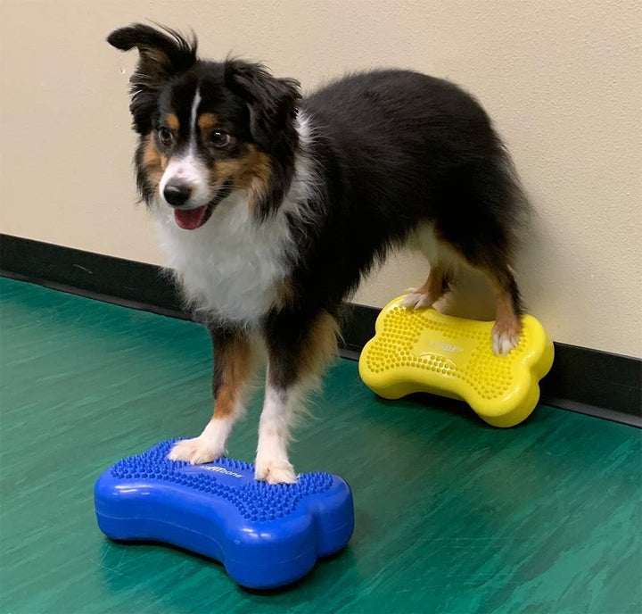 DOG Copenhagen Fitpaws Mini K9 Bone Instabilitätsscheibe für Propriozeption