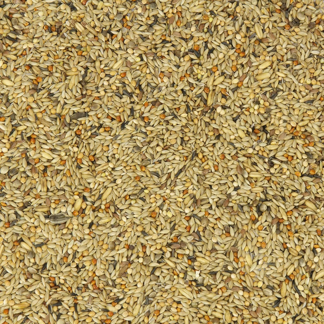 Kanarien-Fit, Kanarienfutter ohne Rübsen 2,5 kg, 2,5 kg
