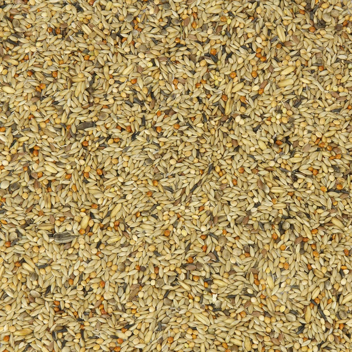Kanarien-Fit, Kanarienfutter ohne Rübsen 10 kg, 10 kg