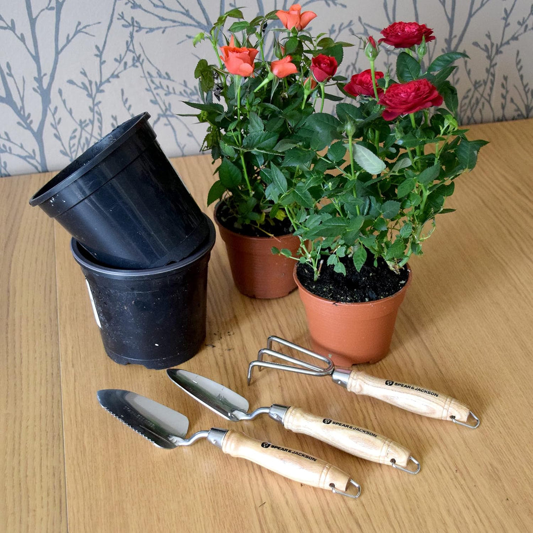 Spear & Jackson POTTING3PS Einpflanz-Werkzeugset, Edelstahl, 3-teilig Potting Tool Set, Potting Tool