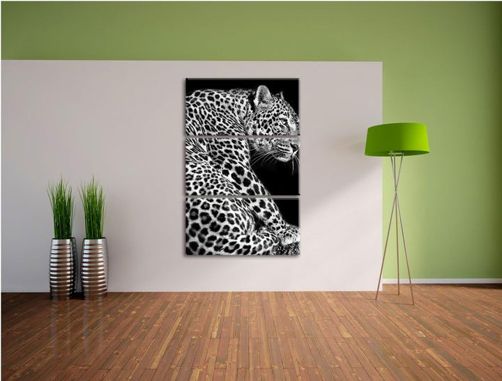 Pixxprint Anmutiger Leopard als Leinwandbild/Grösse: 3 Teilig (120x80) / Wandbild/Kunstdruck/fertig
