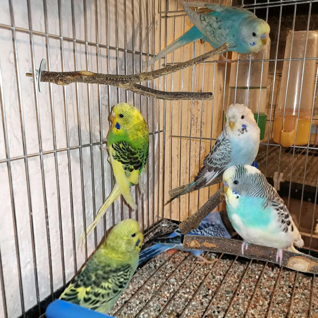 8 Stück Natur Sitzstangen Set für Vögel, Naturholzstangen Vogelständer Vogelzubehör Sitzstangen, Vog