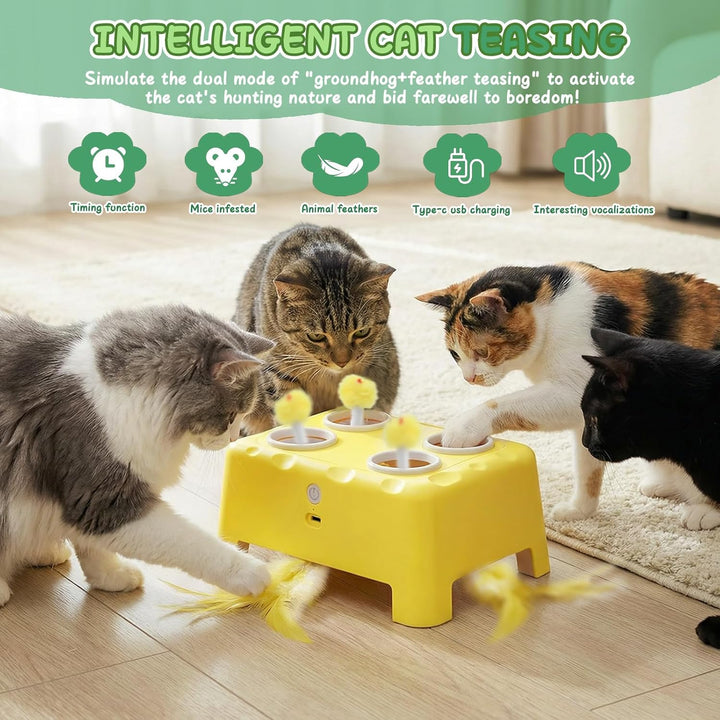 2-in-1 Automatisches Katzenspielzeug, Interaktives Katzenspielzeug, Wiederaufladbares Katzenmaus-Spi