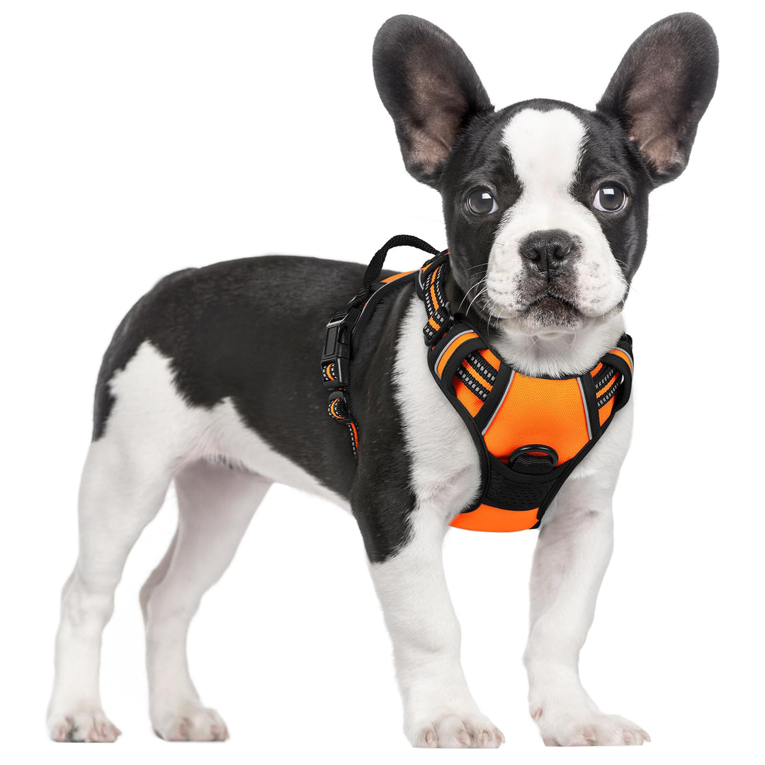 rabbitgoo Hundegeschirr Mittelgrosse Hunde Anti Zug Geschirr Hund mit Kontrolle No Pull Verstellbar