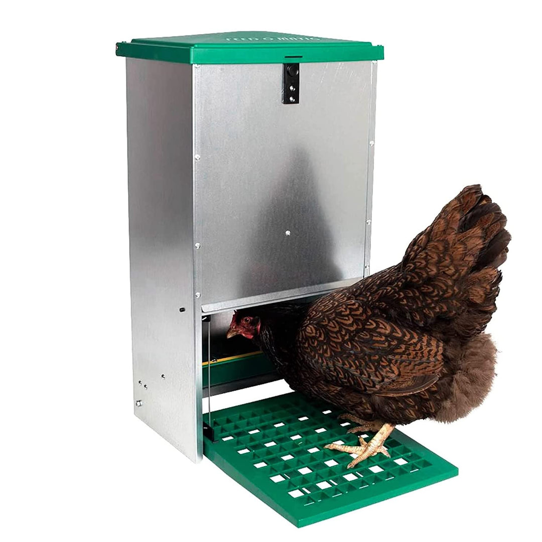 FINCA CASAREJO Automatischer Futterautomat für Hühner - Futterautomat gegen Schädlinge - Automatisch