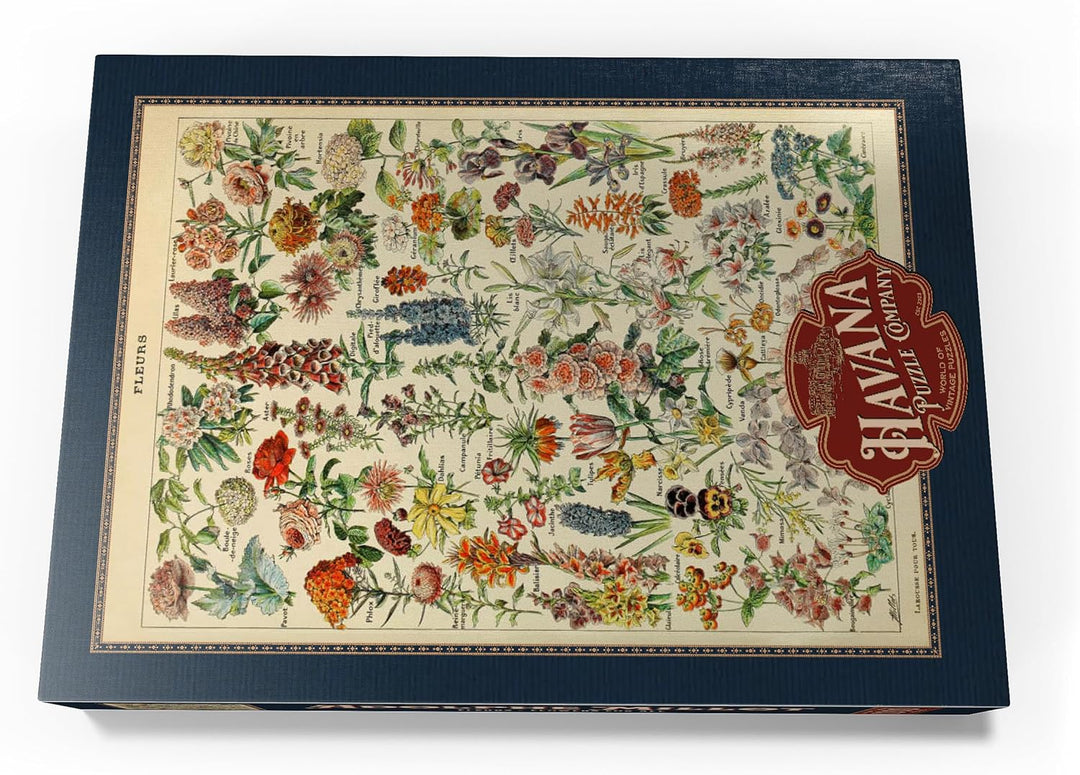 Fleurs - Blumen für Alle, Vintage Art Poster, Adolphe Millot - Premium 1000 Teile Puzzle - MyPuzzle