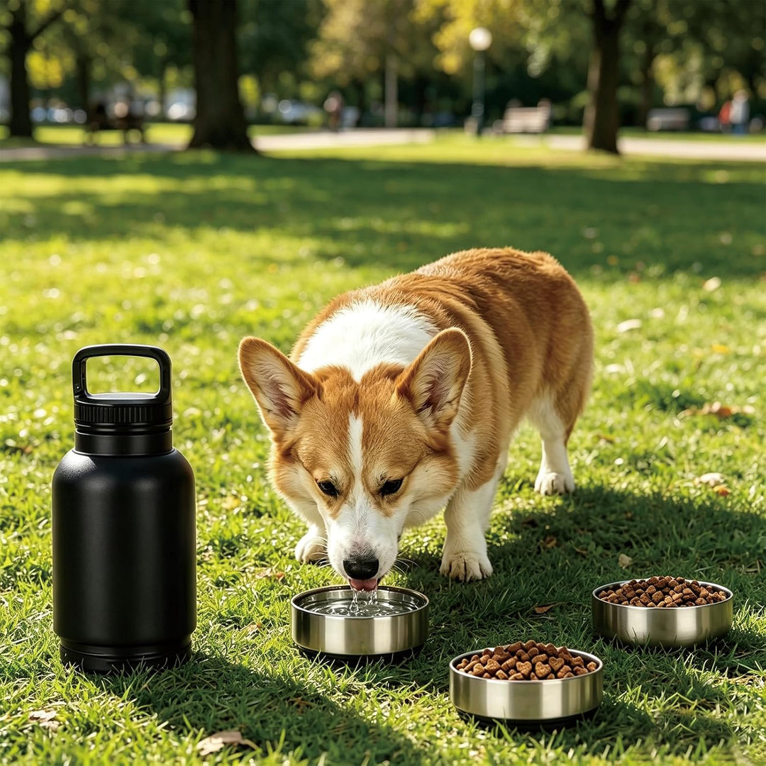 4-in-1 Trinkflasche Hunde für Unterwegs, Isolierte Edelstahl Hundetrinkflasche mit 3 Näpfen, Auslauf