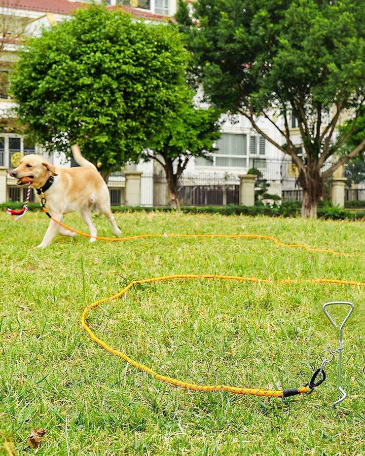 Joytale Schleppleine für Kleine Grosse Hunde, 5m 10m 15m 20m Lang, Gepolsterter Griff, Doppelt Robus