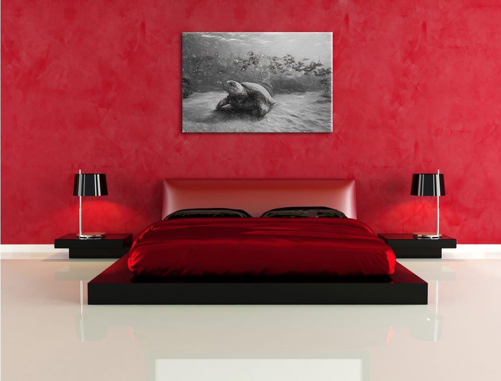 Schildkröten Kohle Effekt, Format: 100x70 auf Leinwand, XXL riesige Bilder fertig gerahmt mit Keilra