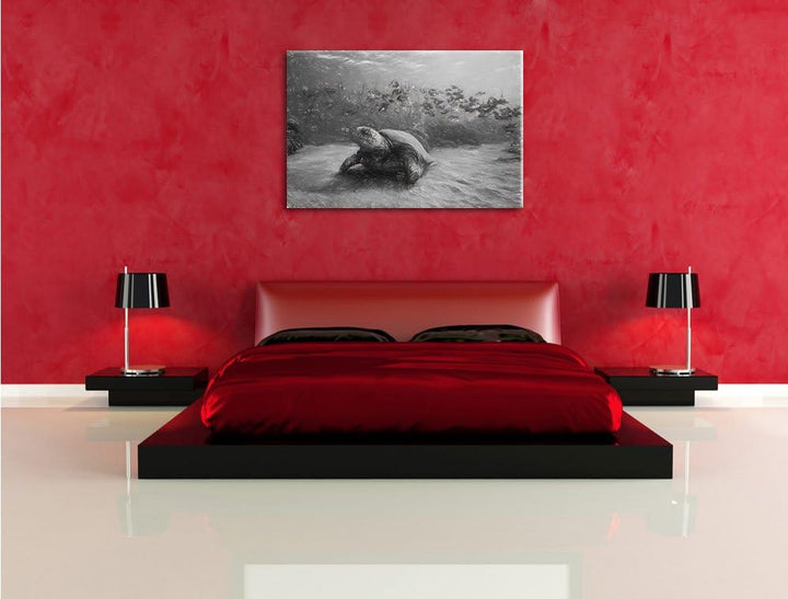 Schildkröten Kohle Effekt, Format: 100x70 auf Leinwand, XXL riesige Bilder fertig gerahmt mit Keilra