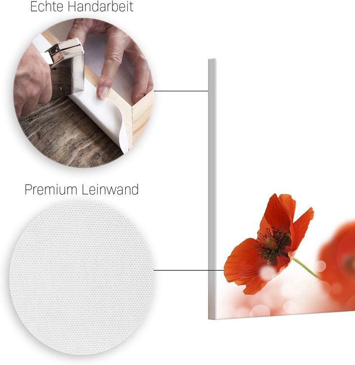 ge Bildet Bild auf Leinwand | Mohn in 70x50 cm als Wandbild | Wand-deko Dekoration Wohnung modern Bi