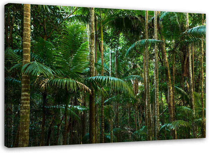 Feeby. Wandbild - 1 Teilig - 70x100 cm, Leinwand Bild Leinwandbilder Bilder Wandbilder Kunstdruck, D